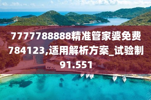 7777788888精准管家婆免费784123,适用解析方案_试验制91.551