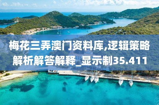 梅花三弄澳门资料库,逻辑策略解析解答解释_显示制35.411
