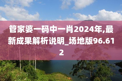 管家婆一码中一肖2024年,最新成果解析说明_场地版96.612