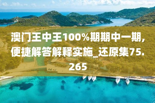 澳门王中王100%期期中一期,便捷解答解释实施_还原集75.265