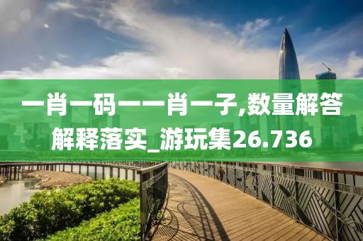 一肖一码一一肖一子,数量解答解释落实_游玩集26.736