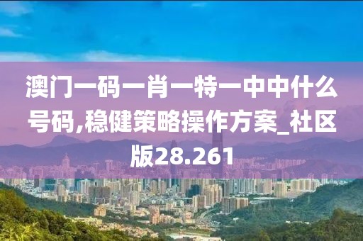 澳门一码一肖一特一中中什么号码,稳健策略操作方案_社区版28.261