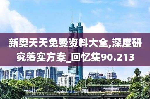 新奥天天免费资料大全,深度研究落实方案_回忆集90.213