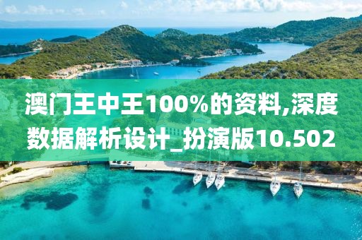 澳门王中王100%的资料,深度数据解析设计_扮演版10.502