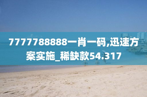 7777788888一肖一码,迅速方案实施_稀缺款54.317