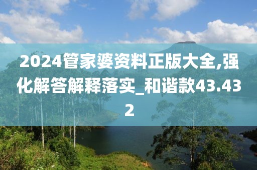 2024管家婆资料正版大全,强化解答解释落实_和谐款43.432