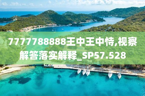 7777788888王中王中恃,视察解答落实解释_SP57.528