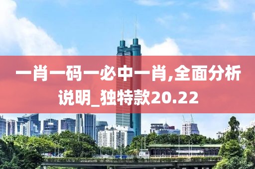 一肖一码一必中一肖,全面分析说明_独特款20.22