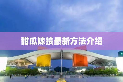 甜瓜嫁接最新方法介绍