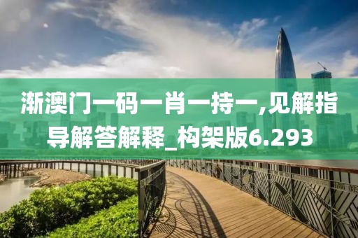渐澳门一码一肖一持一,见解指导解答解释_构架版6.293