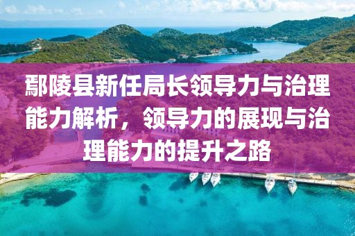 鄢陵县新任局长领导力与治理能力解析，领导力的展现与治理能力的提升之路