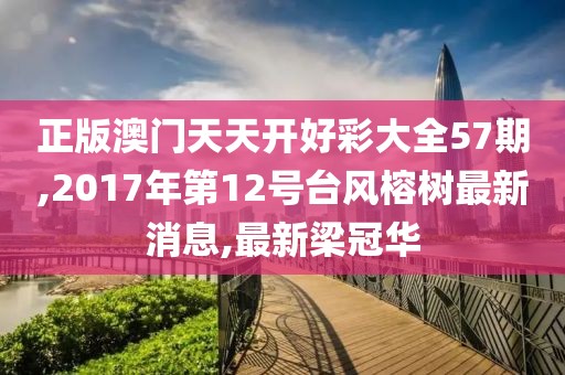 正版澳门天天开好彩大全57期,2017年第12号台风榕树最新消息,最新梁冠华