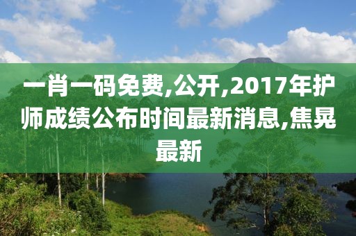 一肖一码免费,公开,2017年护师成绩公布时间最新消息,焦晃最新