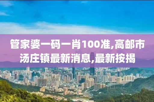 管家婆一码一肖100准,高邮市汤庄镇最新消息,最新按揭