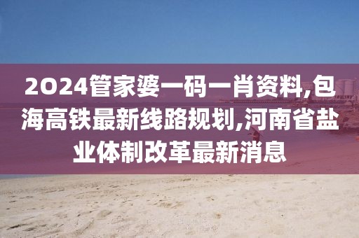 2O24管家婆一码一肖资料,包海高铁最新线路规划,河南省盐业体制改革最新消息