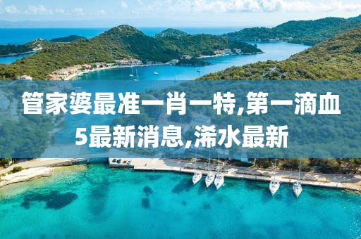 管家婆最准一肖一特,第一滴血5最新消息,浠水最新
