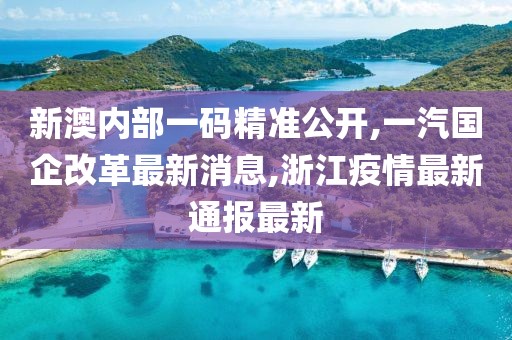 新澳内部一码精准公开,一汽国企改革最新消息,浙江疫情最新通报最新