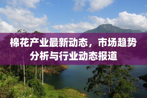 棉花产业最新动态，市场趋势分析与行业动态报道