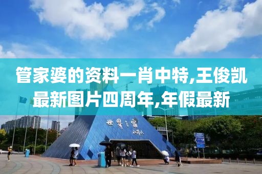 管家婆的资料一肖中特,王俊凯最新图片四周年,年假最新