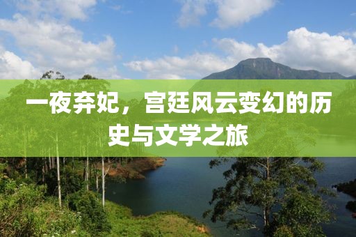一夜弃妃，宫廷风云变幻的历史与文学之旅