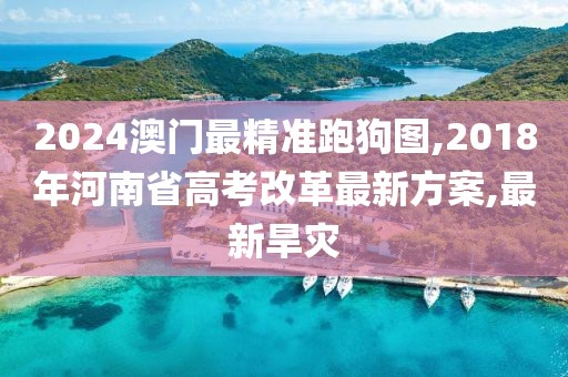 2024澳门最精准跑狗图,2018年河南省高考改革最新方案,最新旱灾