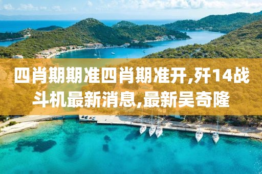 四肖期期准四肖期准开,歼14战斗机最新消息,最新吴奇隆