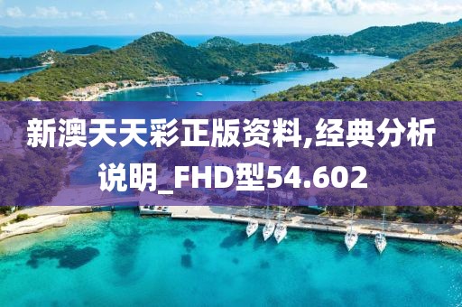 新澳天天彩正版资料,经典分析说明_FHD型54.602