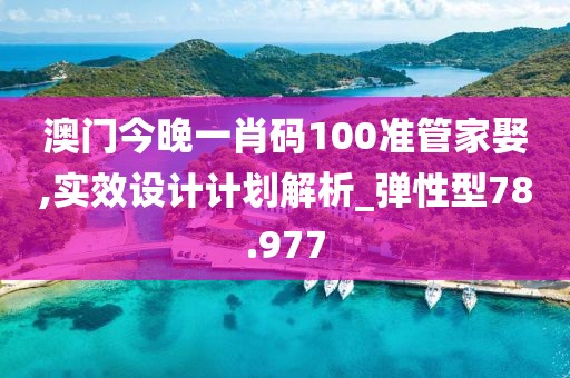 澳门今晚一肖码100准管家娶,实效设计计划解析_弹性型78.977