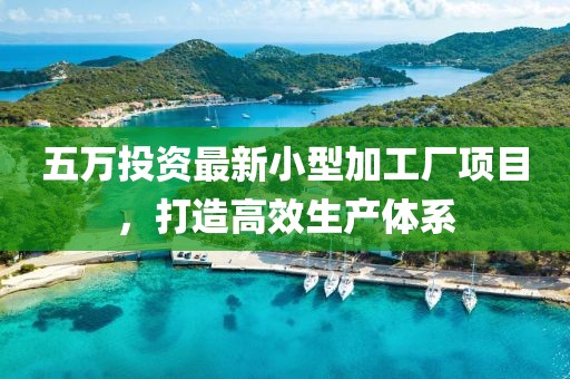 五万投资最新小型加工厂项目，打造高效生产体系