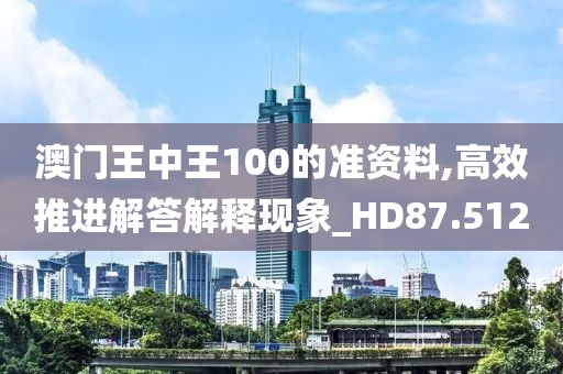 澳门王中王100的准资料,高效推进解答解释现象_HD87.512