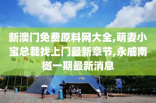 新澳门免费原料网大全,萌妻小宝总裁找上门最新章节,永威南樾一期最新消息