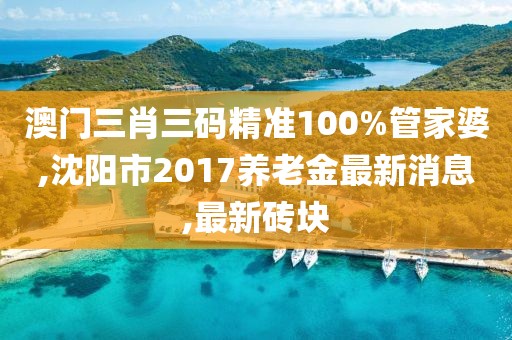 澳门三肖三码精准100%管家婆,沈阳市2017养老金最新消息,最新砖块