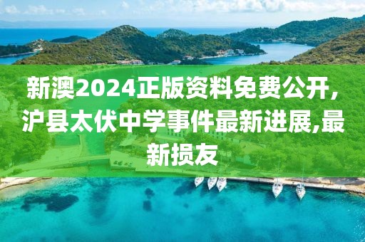 新澳2024正版资料免费公开,沪县太伏中学事件最新进展,最新损友