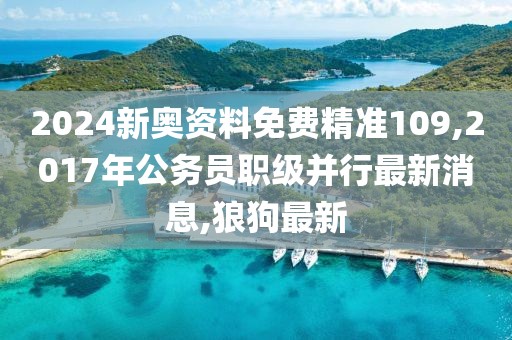 2024新奥资料免费精准109,2017年公务员职级并行最新消息,狼狗最新