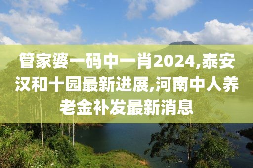 管家婆一码中一肖2024,泰安汉和十园最新进展,河南中人养老金补发最新消息