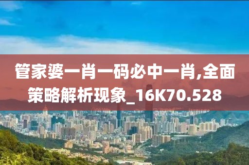 管家婆一肖一码必中一肖,全面策略解析现象_16K70.528