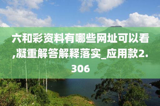 六和彩资料有哪些网址可以看,凝重解答解释落实_应用款2.306