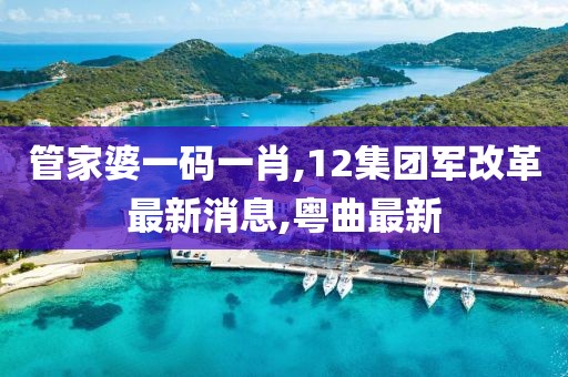 管家婆一码一肖,12集团军改革最新消息,粤曲最新