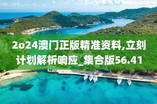 2o24澳门正版精准资料,立刻计划解析响应_集合版56.41