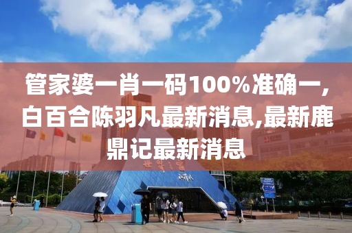 管家婆一肖一码100%准确一,白百合陈羽凡最新消息,最新鹿鼎记最新消息