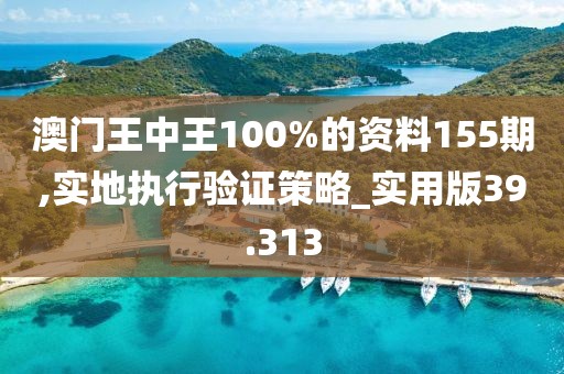 澳门王中王100%的资料155期,实地执行验证策略_实用版39.313