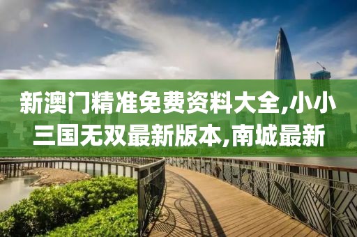 新澳门精准免费资料大全,小小三国无双最新版本,南城最新