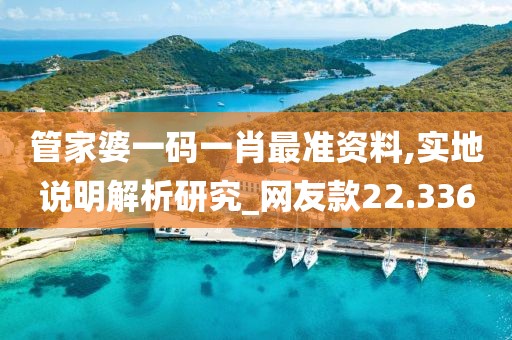 管家婆一码一肖最准资料,实地说明解析研究_网友款22.336