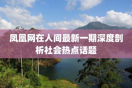 凤凰网在人间最新一期深度剖析社会热点话题