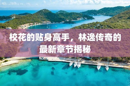 校花的贴身高手，林逸传奇的最新章节揭秘