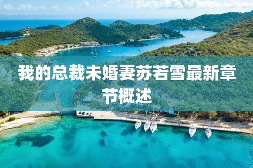 我的总裁未婚妻苏若雪最新章节概述