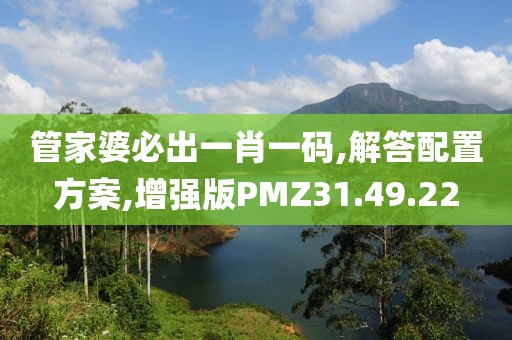 管家婆必出一肖一码,解答配置方案,增强版PMZ31.49.22