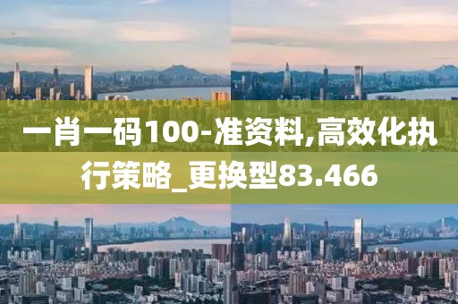 一肖一码100-准资料,高效化执行策略_更换型83.466