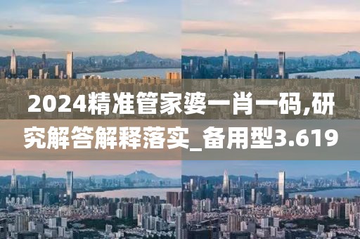 2024精准管家婆一肖一码,研究解答解释落实_备用型3.619