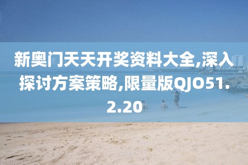 新奥门天天开奖资料大全,深入探讨方案策略,限量版QJO51.2.20